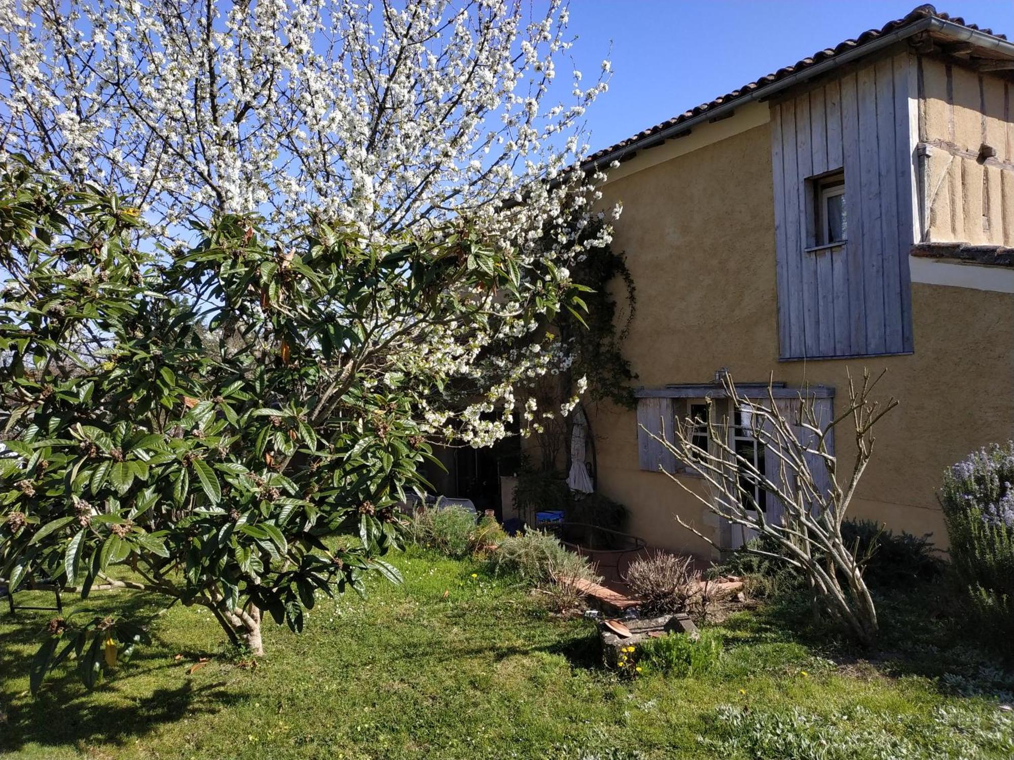 "Au Campaner" Chambres Dans Maison Gasconne Barran ภายนอก รูปภาพ